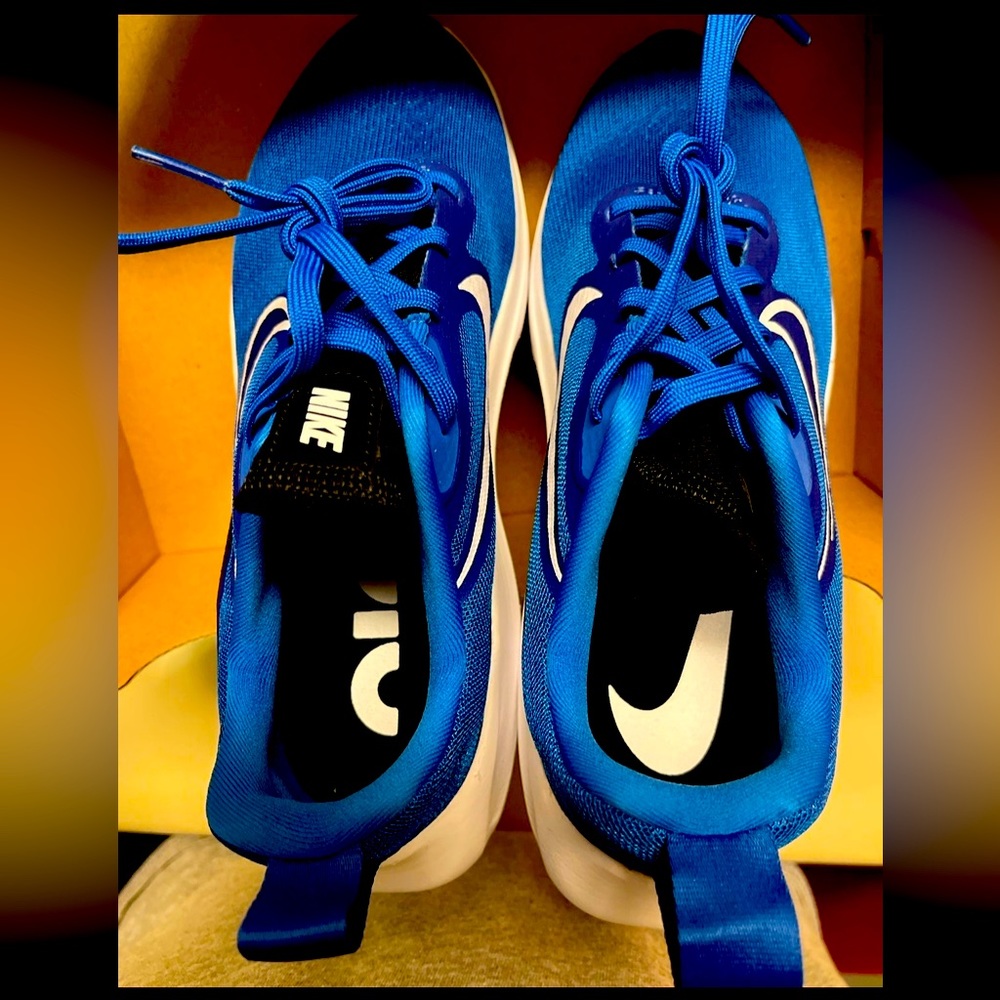 Nike Air Zoom Arcadia 2 Shoes